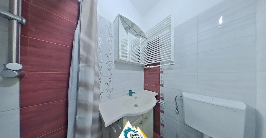 Apartament cu 1 camera, la vila, in Vlaicu - 4