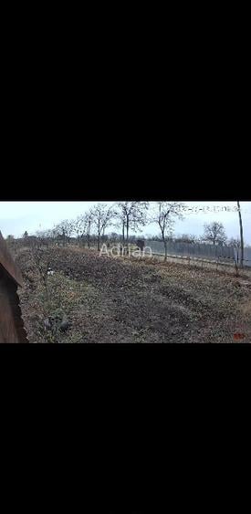 Teren intravilan 1565mp