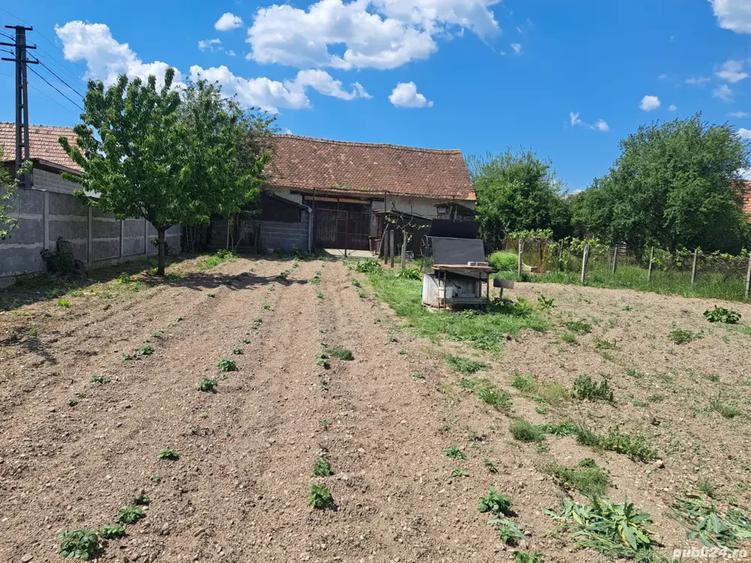 Casa de vanzare la 12 km de Alba Iulia(Vintu de Jos) - 5