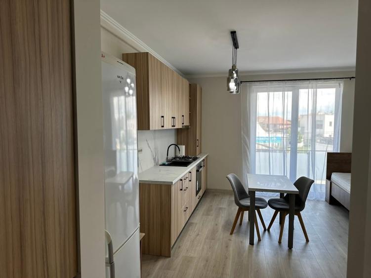 Apartament 1 camera de inchiriat - 12