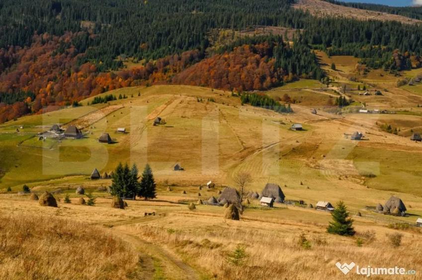 Teren în Ocoliș