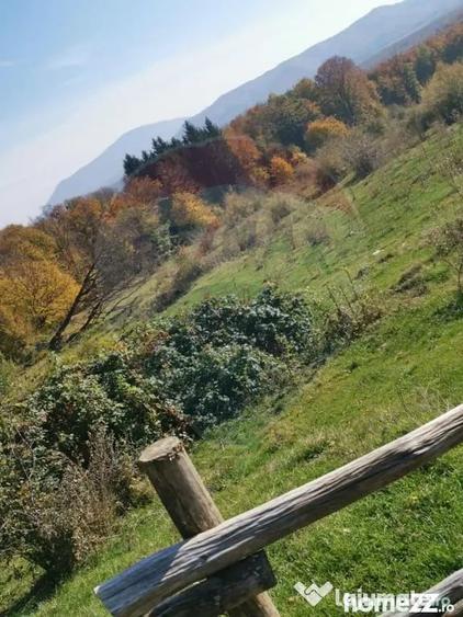 Teren în Dumbrăvița