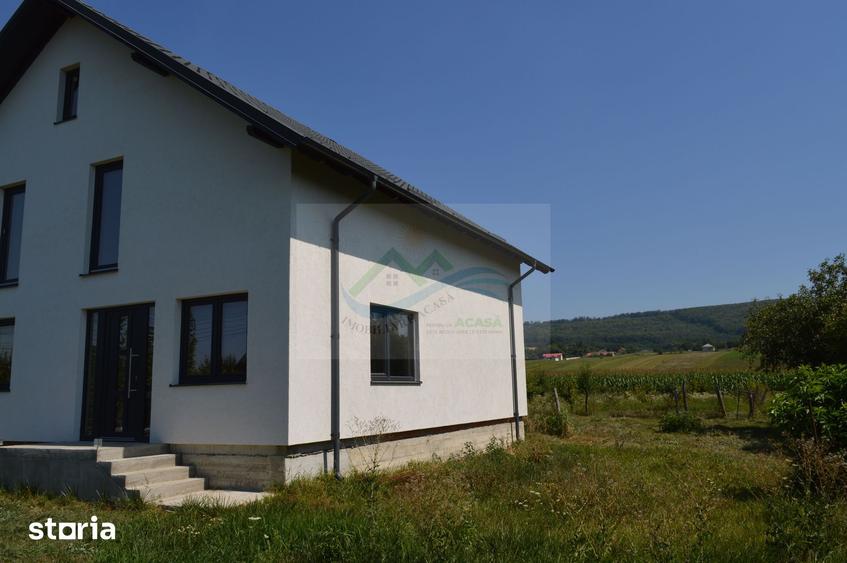 Casă cu 5 camere cu Teren 9700 Mp în Vama