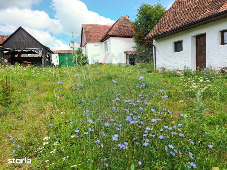 Casă cu 4 camere cu Teren 1631 Mp în Bruiu