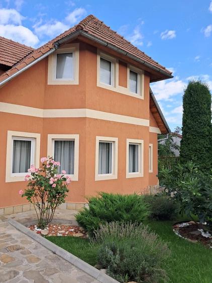 Casă cu Teren 924 Mp în Lupești