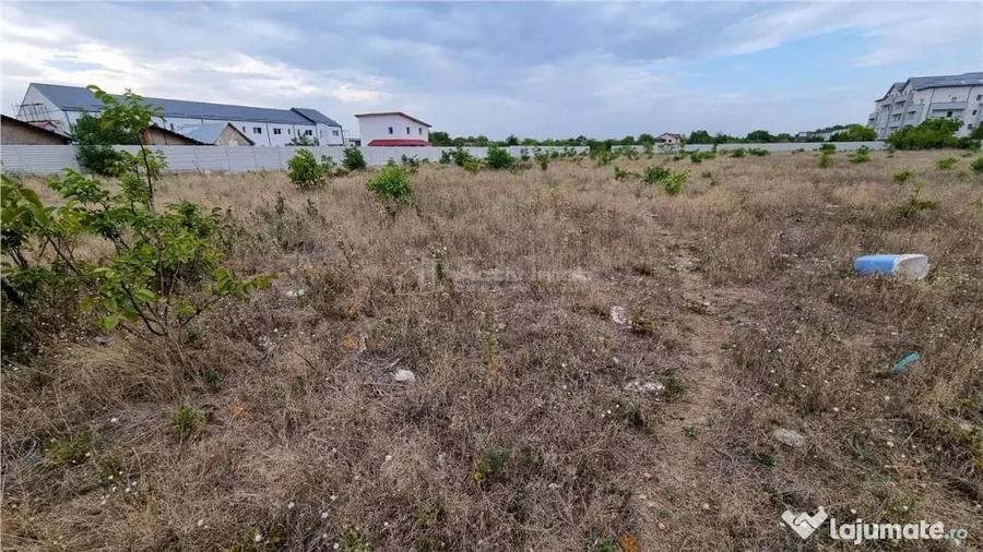 Teren 10.000 mp Giurgiului Tiparnitei - 6