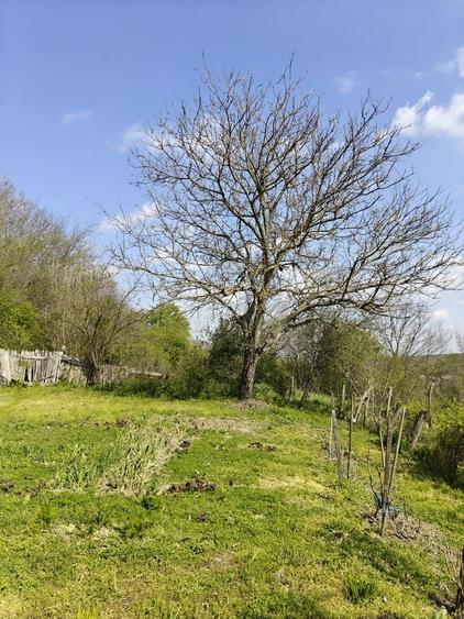 Dolj Casa cu teren generos (10.300 mp) in sat Ungureni - 4