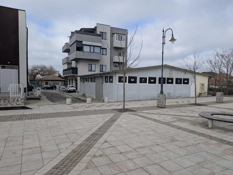 Inchiriere spatiu comercial servicii depozitare central - 4