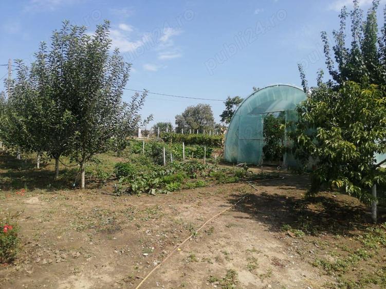 Casa la tara cu gradina - 2