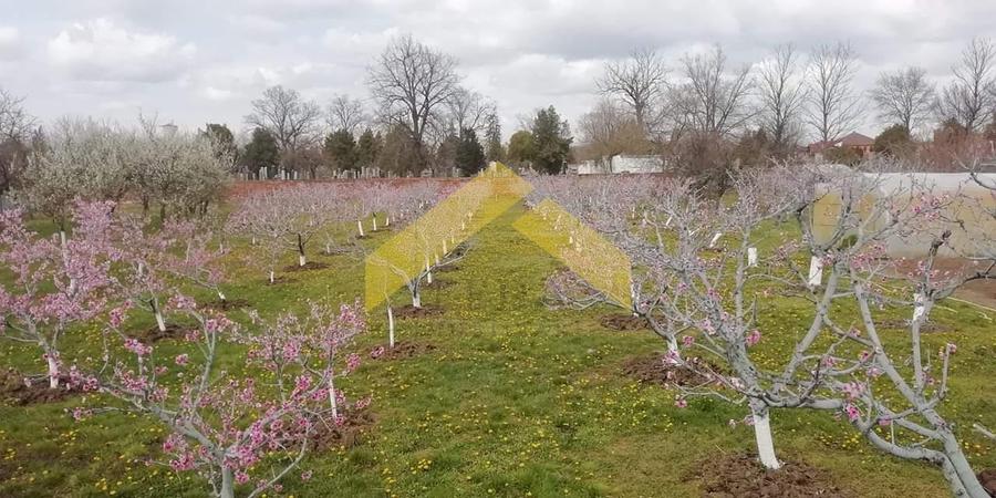 Casa de vanzare zona Gradiste - 5