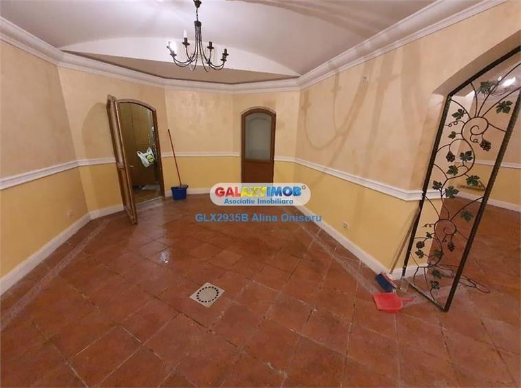 Spatiu comercial 100 mp Moxa Victoriei - 3