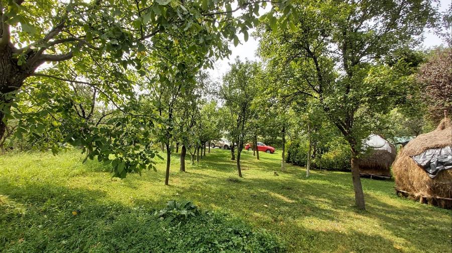 Oportunitate vanzare 6000 mp teren drept,superb toate utilitatile Breaza Prahova - 5