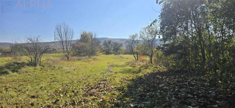 Casa saseasca autentica, Livezile Jud Bistrita-Nasaud - 2