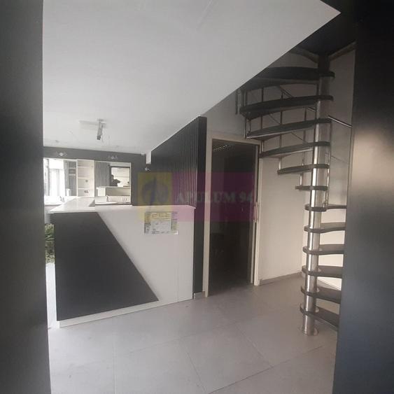 Spatiu Comercial Stradal Șoseaua Colentina zona Teiul Doamnei Suveica - 45