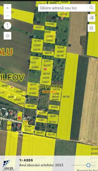 Teren intravilan Dascalu , 18000 m /17€ m2  - 2