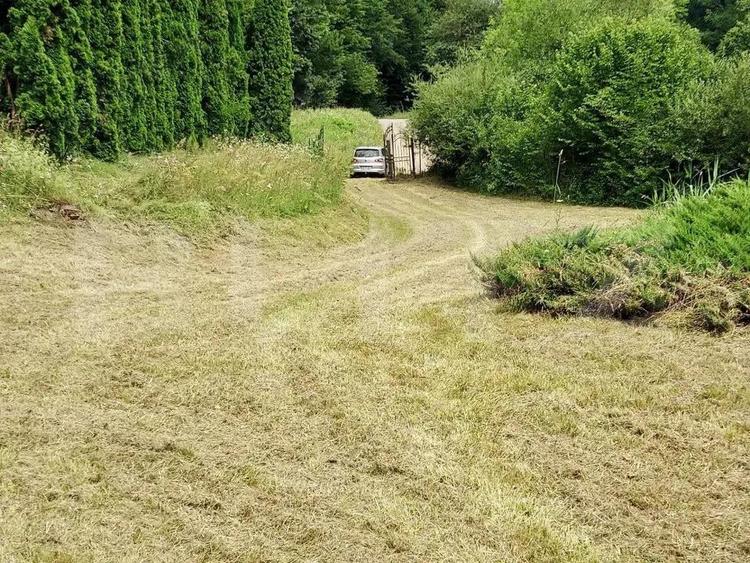 Casa de Vacan?a pe Valea Ighielului 3 camere, 2500 mp curte - 11