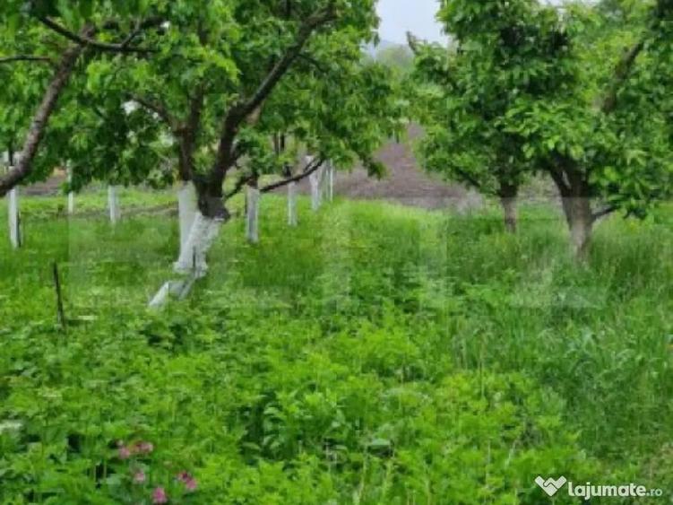 Oportunitate! Casa Bod pe un singur nivel, teren 980 mp pivn - 16