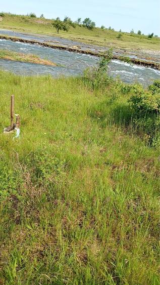 Teren de vanzare - 5