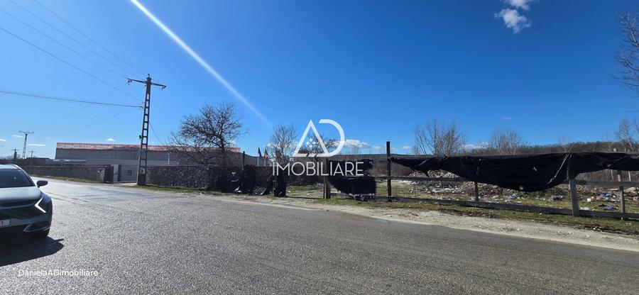 Teren de vânzare 12.771 mp – zonă industrială/comercială Bârsești - 5