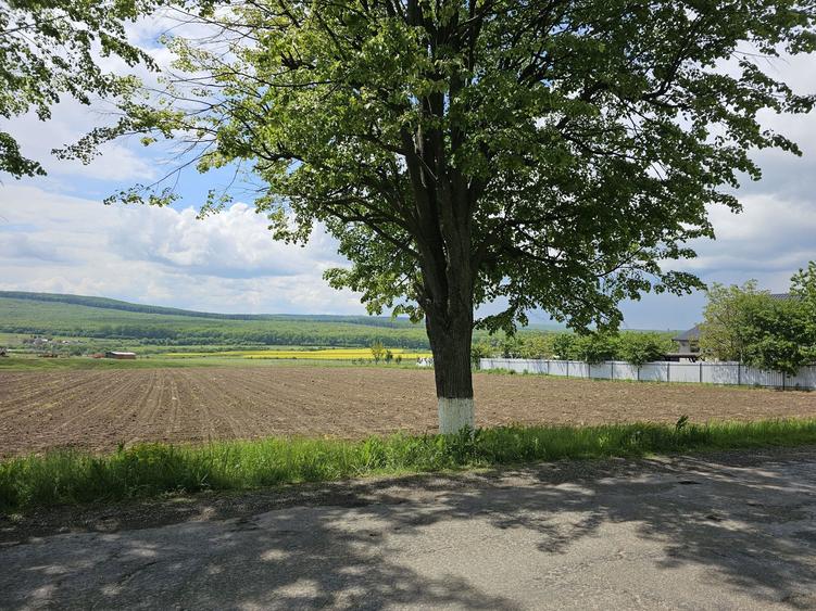 Vand 55,5 ari teren in Mitocu Dragomirnei - 1