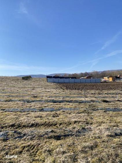 Teren extravilan de vanzare - 1