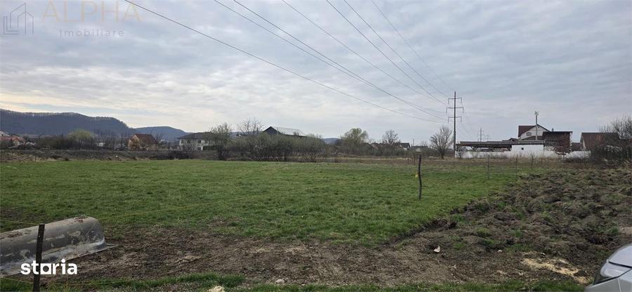 Teren intravilan 2500 mp - Unirea, Str. Platanilor - 1