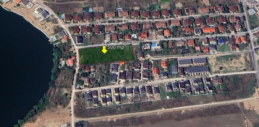 Teren intravilan 7500mp Strada Borsec Pantelimon - 2