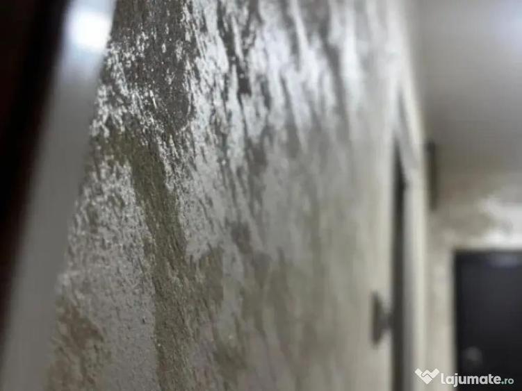 Apartament cu 2 Camere Decomandate-Parter Zona Burdujeni - Cuza Voda 2 - 5