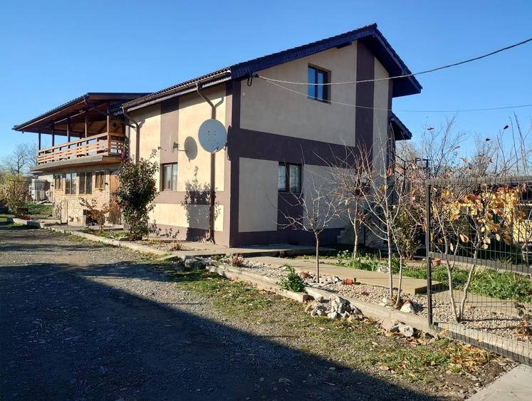 Ciocarlia de sus, Constanta - 2