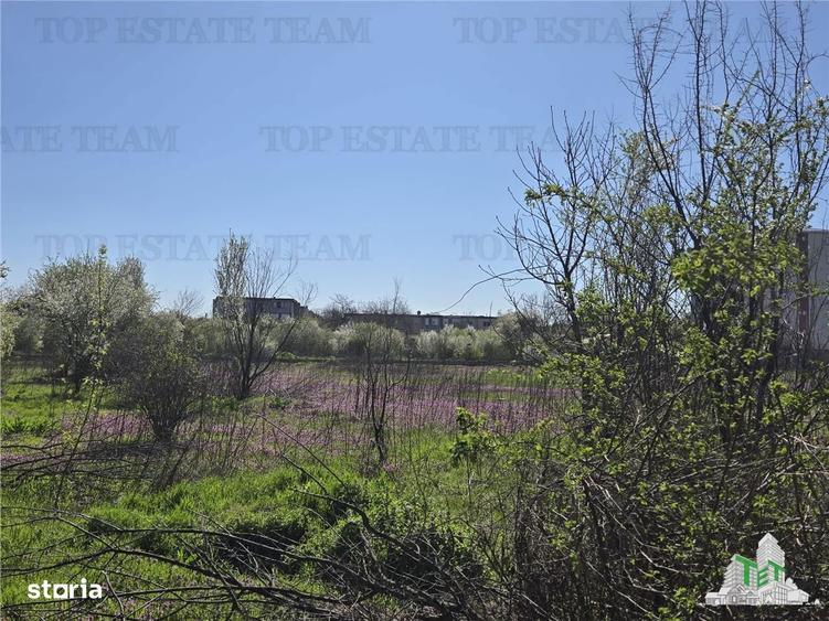 TEREN Intravilan 8.500 mp PACII - 4