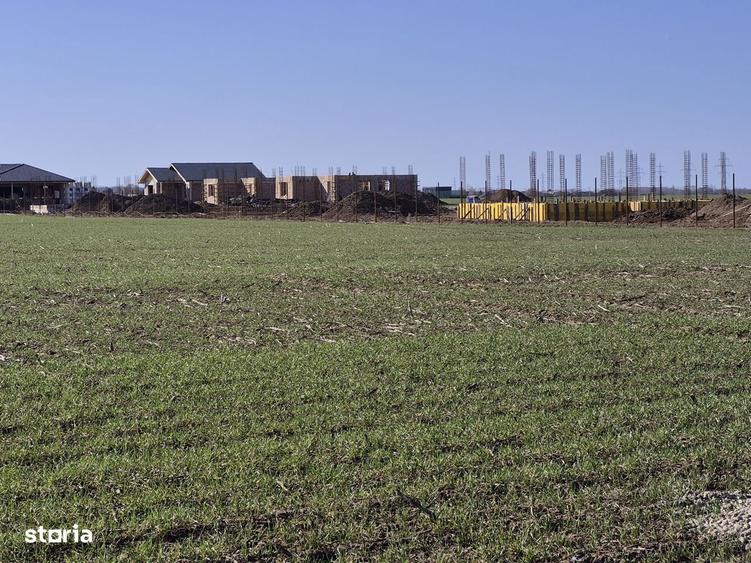 Teren Balotesti,1000 mp,49E/mp,vecin Terra Residence 3 - 4