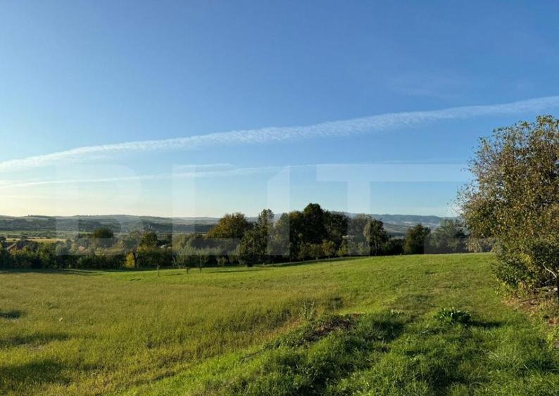 Casa in Aluni?, 10.000 mp de teren, cu vie si livada, veder - 1