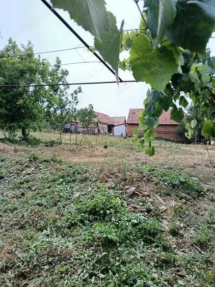 Casa ?i gradina 2100 mp - 6