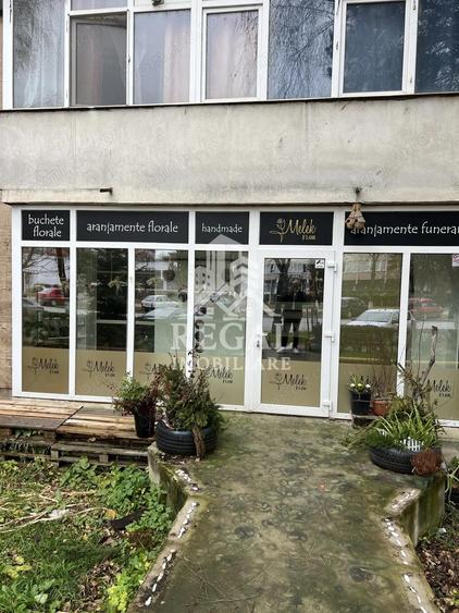 Spa?iu comercial de vanzare 47 mp utili, vitrina generoasa - 2