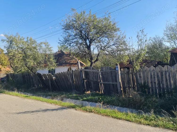 Casa si pamant agricol de vanzare - 10