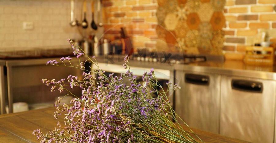 DE VANZARE Pensiune | 12 camere | Bisoca / Buzau - 16