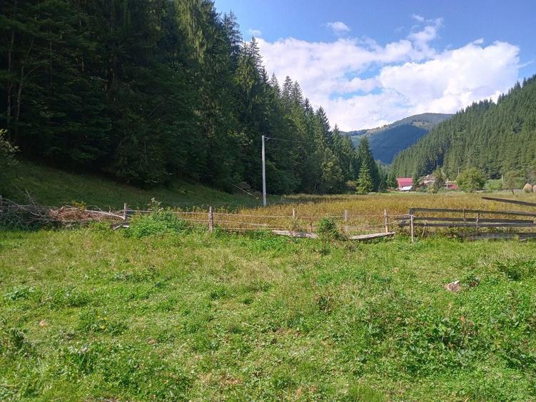 Vand teren pentru cabana Garda de Sus - 2