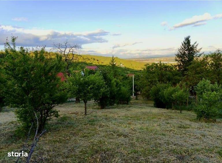 Teren Intravilan Podgoria - 1