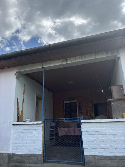 Casa de vanzare , Petroasa Mare , la 15 minute de orasul Lugoj - 4