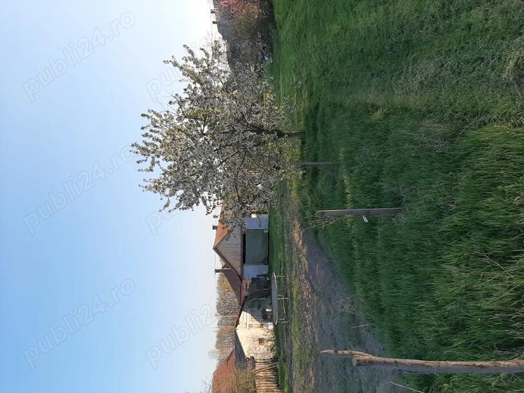 Teren 2000 mp cu front lat, + casa Biharkeresztes - 5