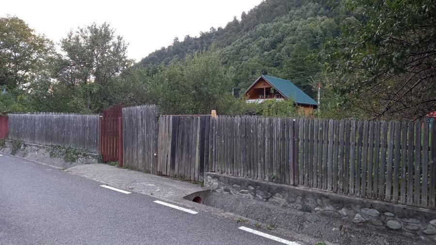 Teren cu cabanuta Pascoaia Brezoi Valcea - 7