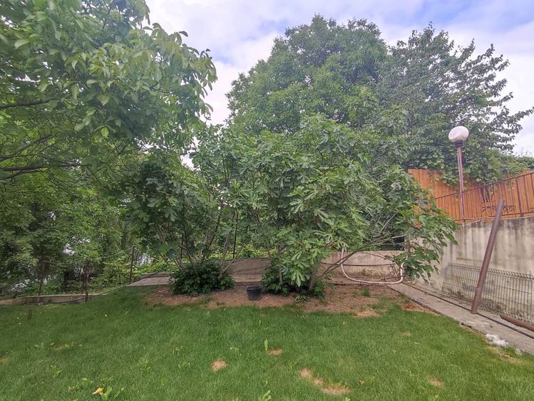 VANZARE CASA VILA - 6