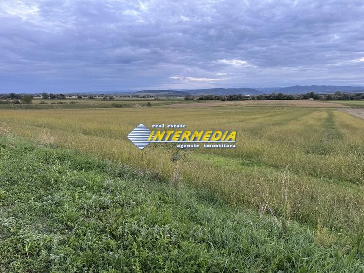 OKAZIE ! 2300 mp. Teren Intravilan Mereteu lat 22 m toate utilitatiile in fata - 7