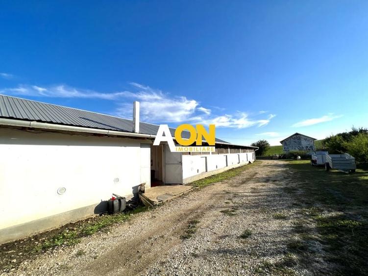 Ferma de vanzare cu 550MP utili si 27.500MP teren la asfalt - 4