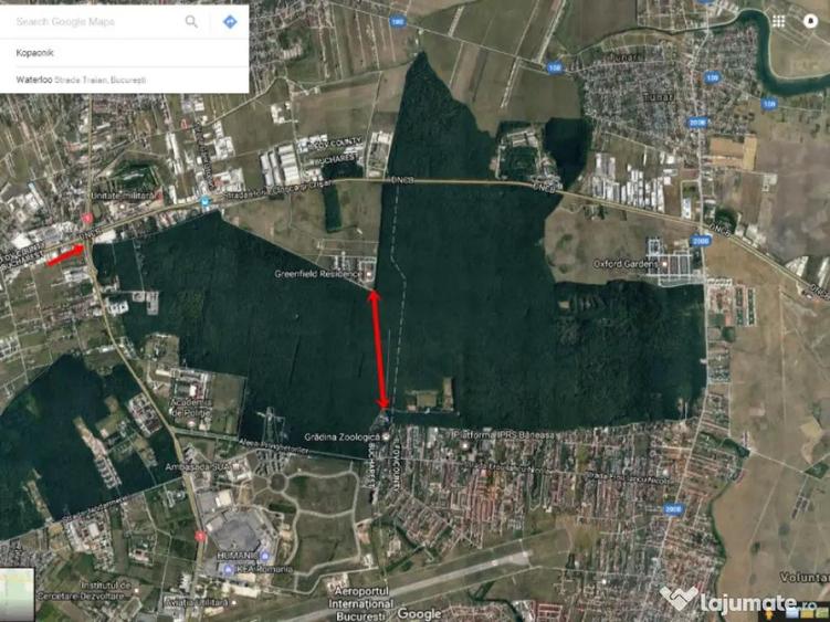 Raritate absoluta: Teren 20.000 mp in inima Padurii Banea - 2