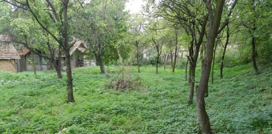 Casă de vânzare în Calnic, Alba – liniște, natură și potențial turistic - 12