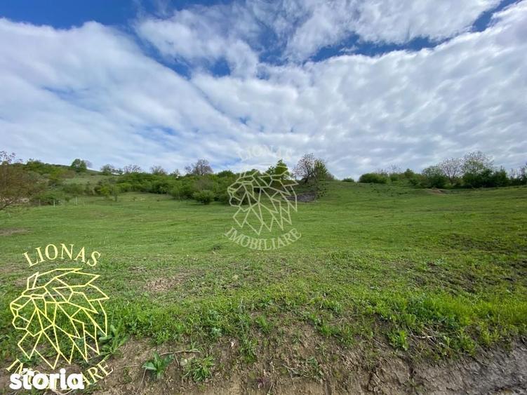 Teren 5000 mp-ideal investitie-Ghinda - 7