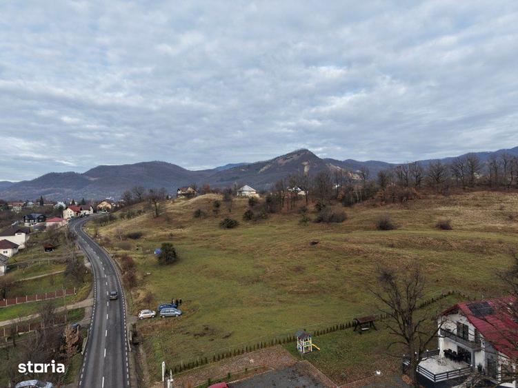 Teren Sisesti la soseaua principala ,langa pensiunea Madlene ,1 ha - 5