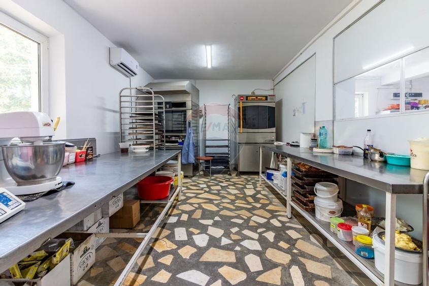 Casa+Laborator+ Teren 12.700 mp + casa de vacanta - Bolintin Vale - 8