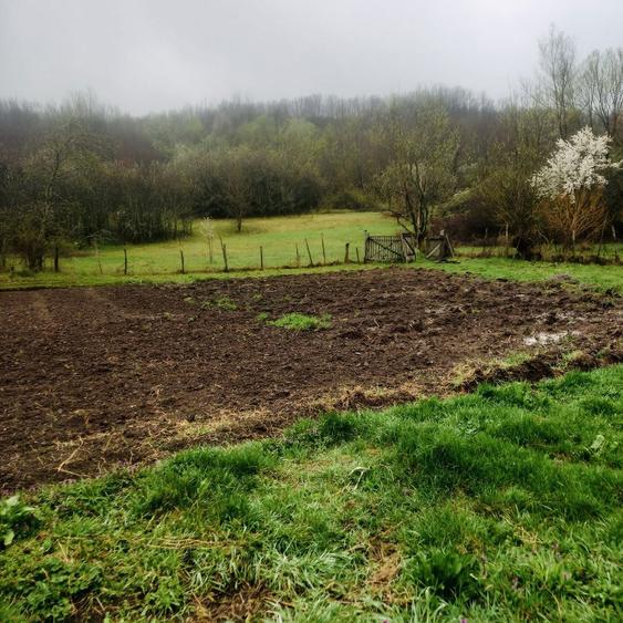 Casa si teren de vanzare - 5